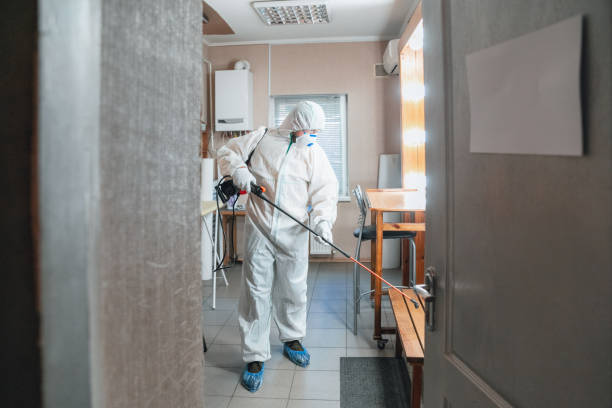 Best Post-Remediation Verification Testing  in Preston, MN