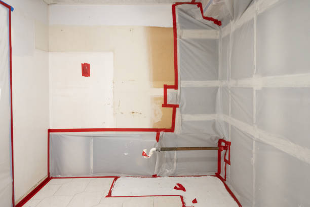 Mold Documentation for Insurance Claims in Preston, MN