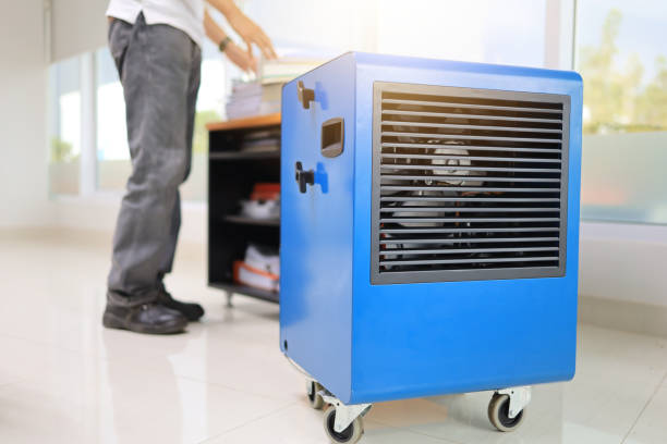 Best Commercial Mold Inspection  in Preston, MN