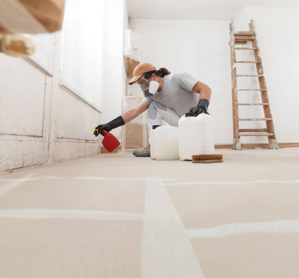 Best Indoor Air Quality Assessment  in Preston, MN